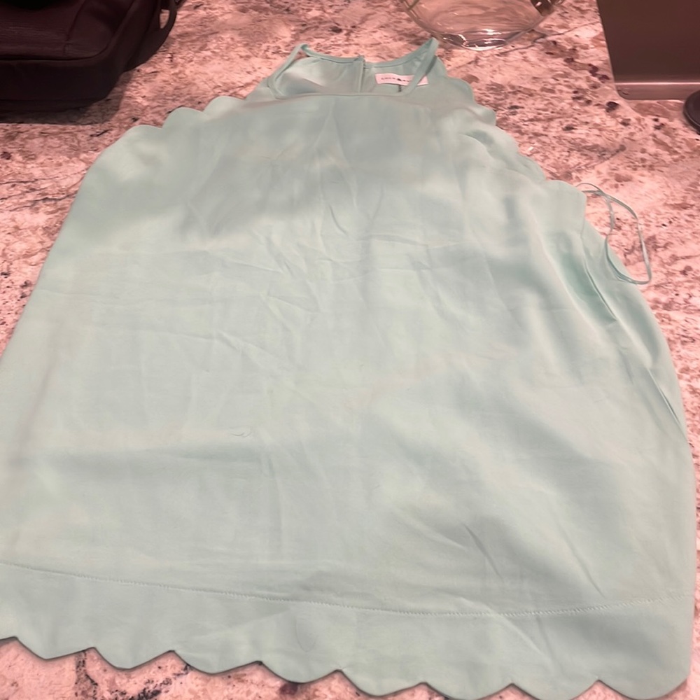 Coco and main scallop tank